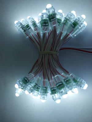 광고 서한을 위한 9 밀리미터 12V 발광다이오드 픽셀 빛